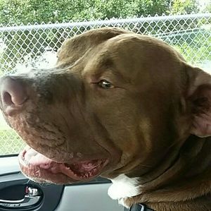 Meet your Posher, Alison